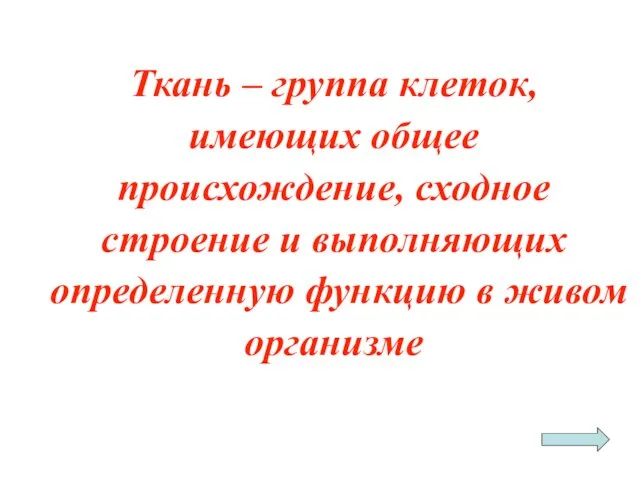 Ткань – группа клеток, имеющих общее происхождение, сходное строение и выполняющих определенную функцию в живом организме