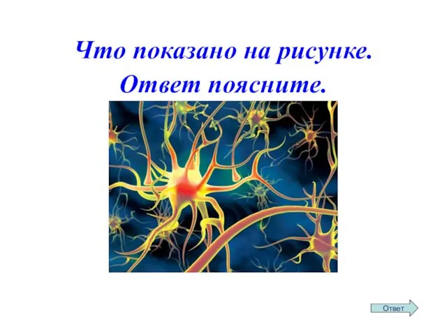 Что показано на рисунке. Ответ поясните.