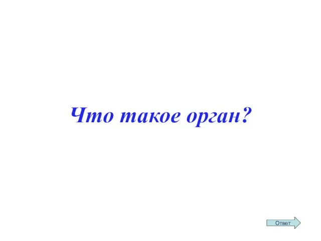 Что такое орган?