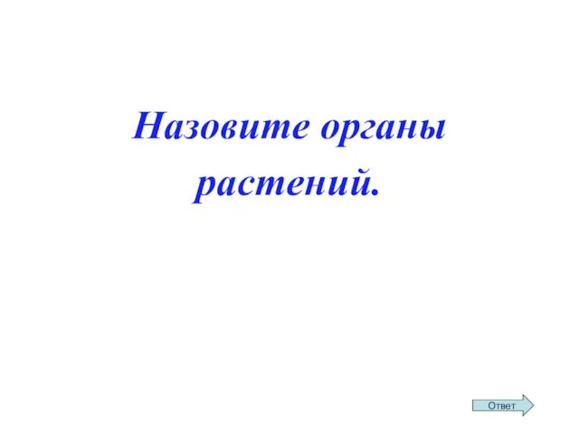 Назовите органы растений.