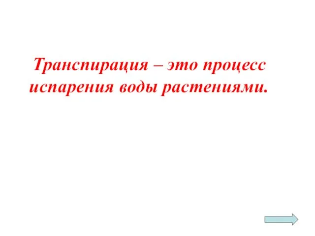 Транспирация – это процесс испарения воды растениями.