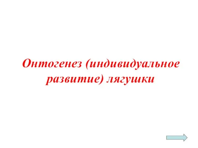 Онтогенез (индивидуальное развитие) лягушки