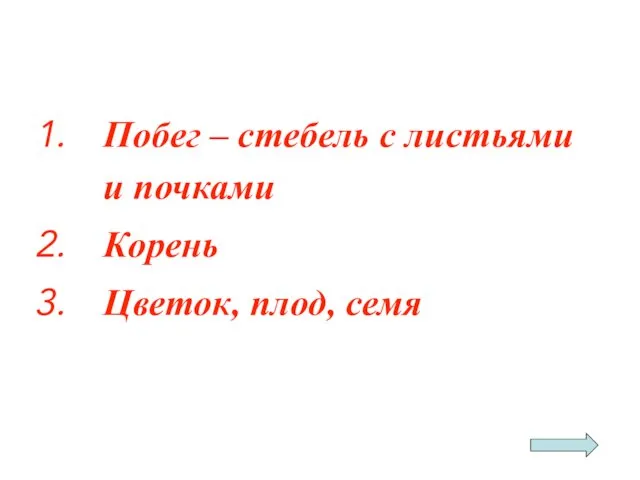 Побег – стебель с листьями и почками Корень Цветок, плод, семя