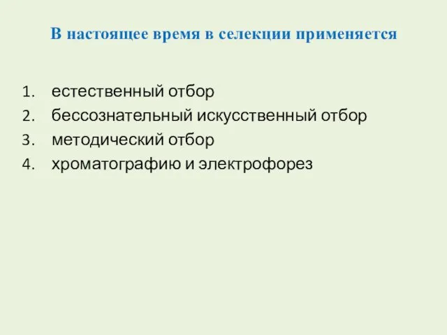 В настоящее время в селекции применяется естественный отбор бессознательный искусственный отбор методический отбор хроматографию и электрофорез