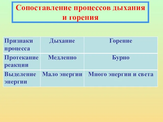 Сопоставление процессов дыхания и горения