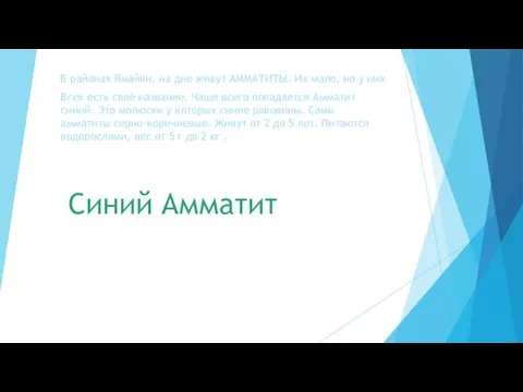 Синий Амматит В районах Ямайки, на дне живут АММАТИТЫ. Их