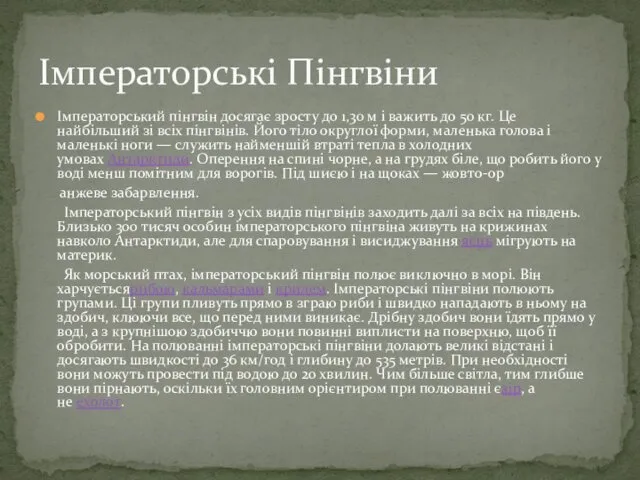 Імператорський пінгвін досягає зросту до 1,30 м і важить до