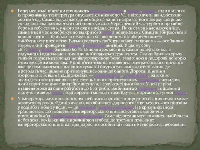 Імператорські пінгвіни починаютьрозмножуватися в травні-червні, коли в місцях їх проживання