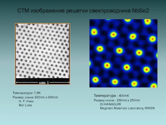 СТМ изображение решетки свехпроводника NbSe2 Температура: 1.8K Размер скана: 600nm x 600nm H.