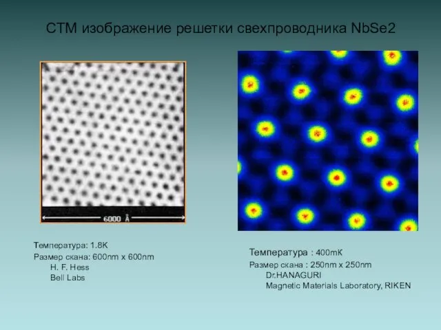 СТМ изображение решетки свехпроводника NbSe2 Температура: 1.8K Размер скана: 600nm