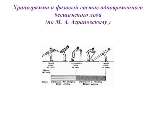 Хронограмма и фазовый состав одновременного бесшажного хода (по М. А. Аграновскому )