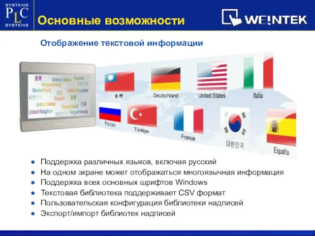 Отображение текстовой информации Поддержка различных языков, включая русский На одном
