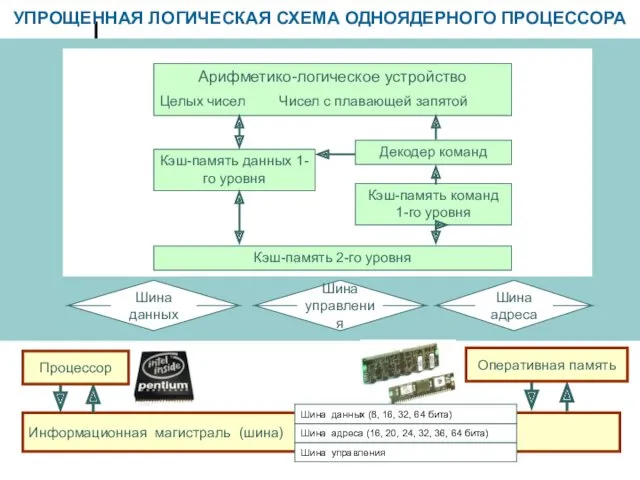 УПРОЩЕННАЯ ЛОГИЧЕСКАЯ СХЕМА ОДНОЯДЕРНОГО ПРОЦЕССОРА Информационная магистраль (шина) Оперативная память