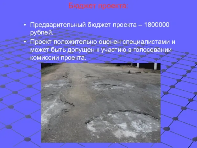 Бюджет проекта: Предварительный бюджет проекта – 1800000 рублей. Проект положительно