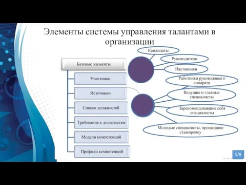 Элементы системы управления талантами в организации 5/9