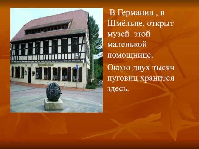 В Германии , в Шмёльне, открыт музей этой маленькой помощнице. Около двух тысяч пуговиц хранится здесь.