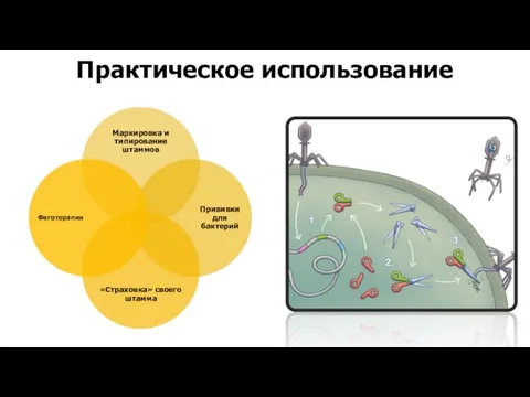 Практическое использование