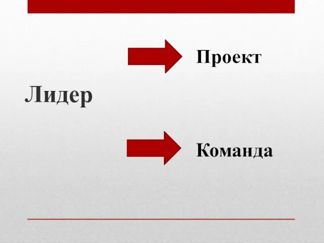 Лидер Проект Команда