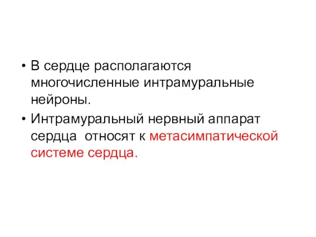 В сердце располагаются многочисленные интрамуральные нейроны. Интрамуральный нервный аппарат сердца относят к метасимпатической системе сердца.