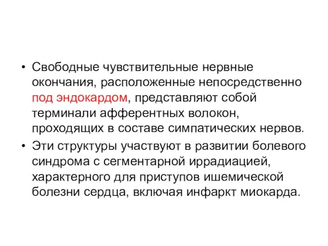 Свободные чувствительные нервные окончания, расположенные непосредственно под эндокардом, представляют собой