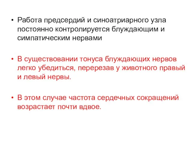 Работа предсердий и синоатриарного узла постоянно контролируется блуждающим и симпатическим