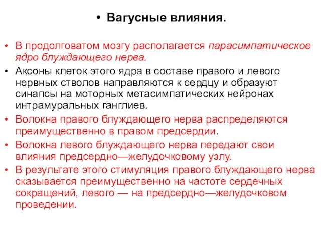 Вагусные влияния. В продолговатом мозгу располагается парасимпатическое ядро блуждающего нерва.