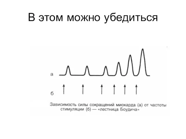 В этом можно убедиться