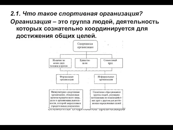 2.1. Что такое спортивная организация? Организация – это группа людей,