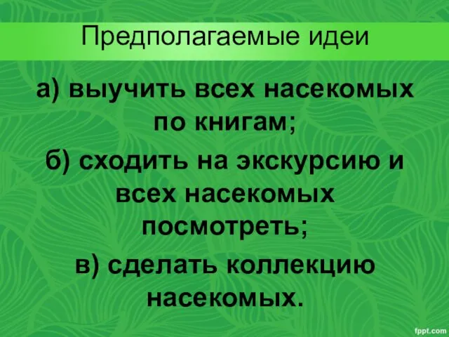 Предполагаемые идеи а) выучить всех насекомых по книгам; б) сходить