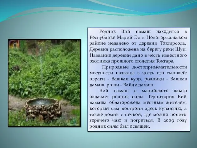 Родник Вий памаш находится в Республике Марий Эл в Новоторъяльском