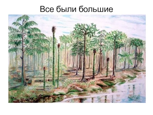 Все были большие