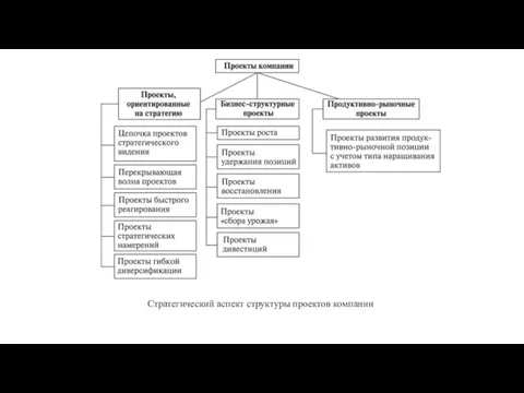 Стратегический аспект структуры проектов компании