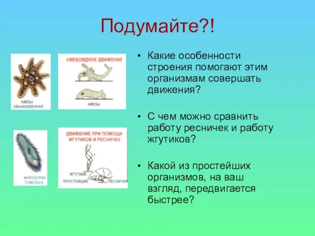 Подумайте?! Какие особенности строения помогают этим организмам совершать движения? С