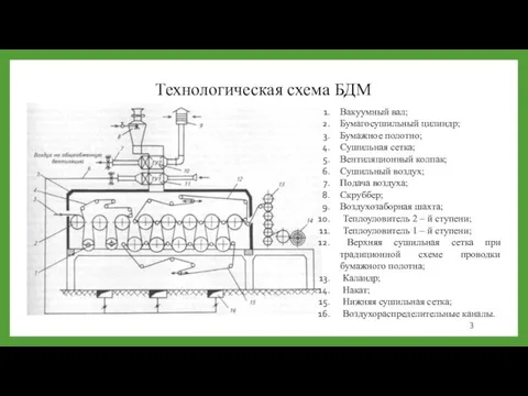 Технологическая схема БДМ Вакуумный вал; Бумагосушильный цилиндр; Бумажное полотно; Сушильная