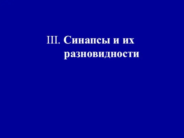 III. Синапсы и их разновидности