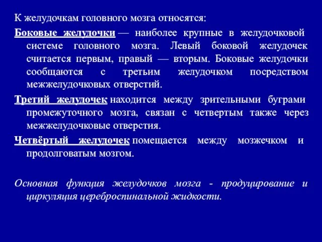 К желудочкам головного мозга относятся: Боковые желудочки — наиболее крупные