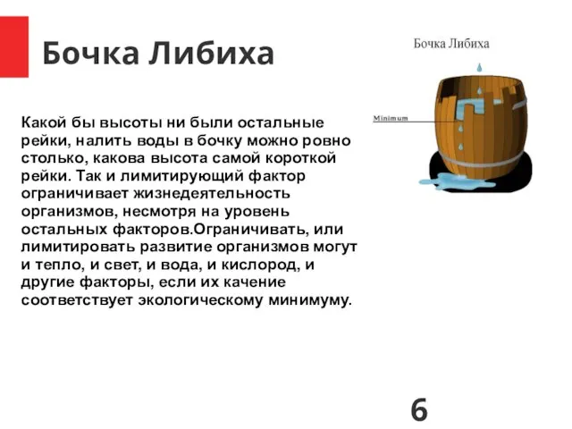 Бочка Либиха Какой бы высоты ни были остальные рейки, налить