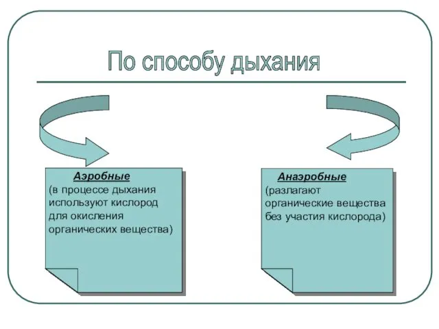 Анаэробные (разлагают органические вещества без участия кислорода) Аэробные (в процессе