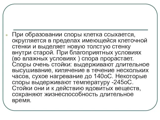 При образовании споры клетка ссыхается, округляется в пределах имеющейся клеточной