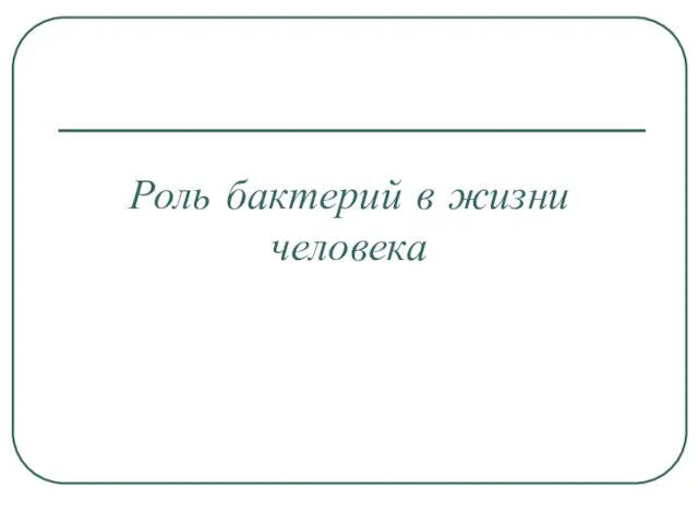 Роль бактерий в жизни человека