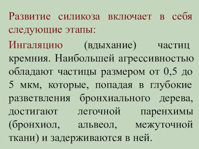 Развитие силикоза включает в себя следующие этапы: Ингаляцию (вдыхание) частиц