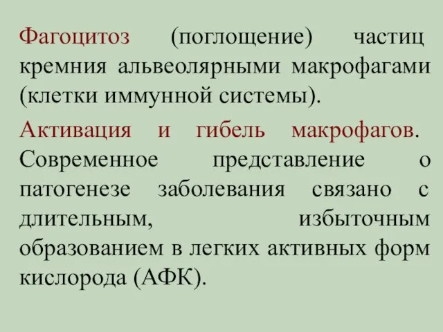 Фагоцитоз (поглощение) частиц кремния альвеолярными макрофагами (клетки иммунной системы). Активация