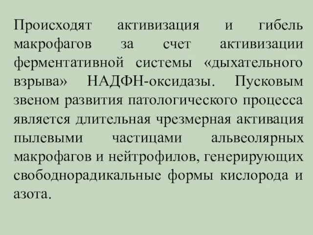 Происходят активизация и гибель макрофагов за счет активизации ферментативной системы