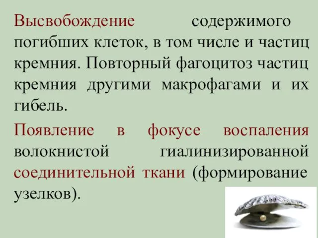 Высвобождение содержимого погибших клеток, в том числе и частиц кремния.