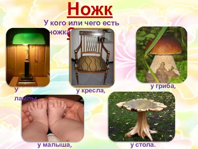 Ножка У кого или чего есть «ножка»? У лампы, у