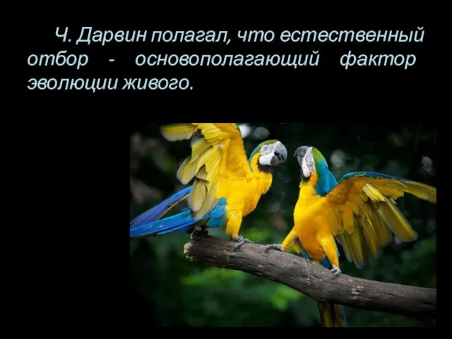 Ч. Дарвин полагал, что естественный отбор - основополагающий фактор эволюции живого.