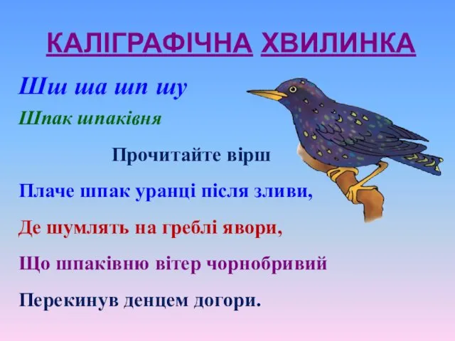 КАЛІГРАФІЧНА ХВИЛИНКА Шш ша шп шу Шпак шпаківня Прочитайте вірш