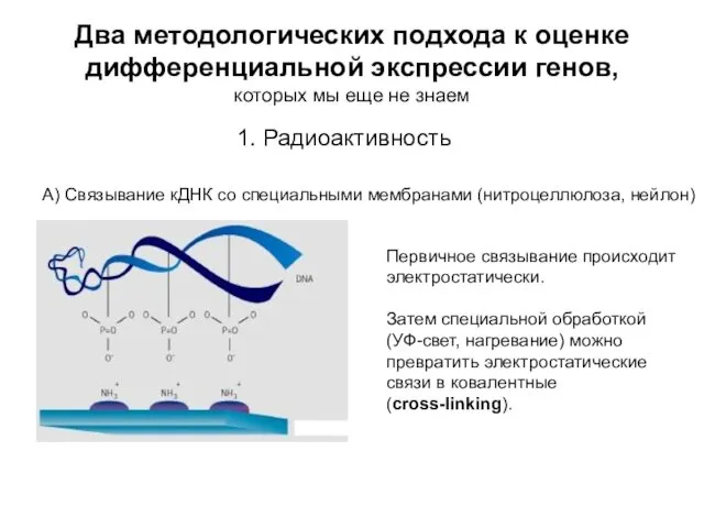 Два методологических подхода к оценке дифференциальной экспрессии генов, которых мы