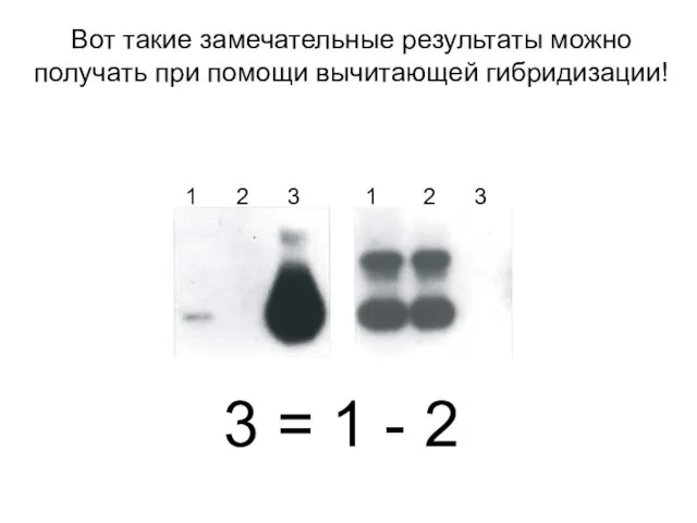 Вот такие замечательные результаты можно получать при помощи вычитающей гибридизации! 3 = 1 - 2