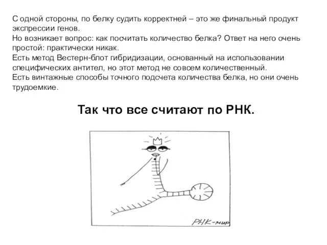 С одной стороны, по белку судить корректней – это же